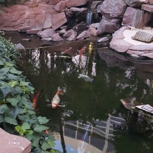 Meet your Posher, Dana